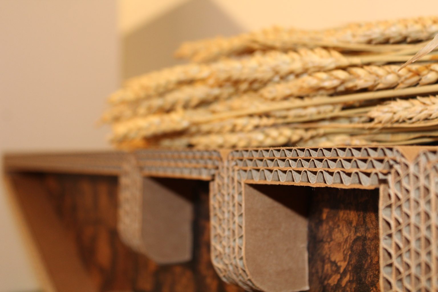 Dettagli cartone ondulato