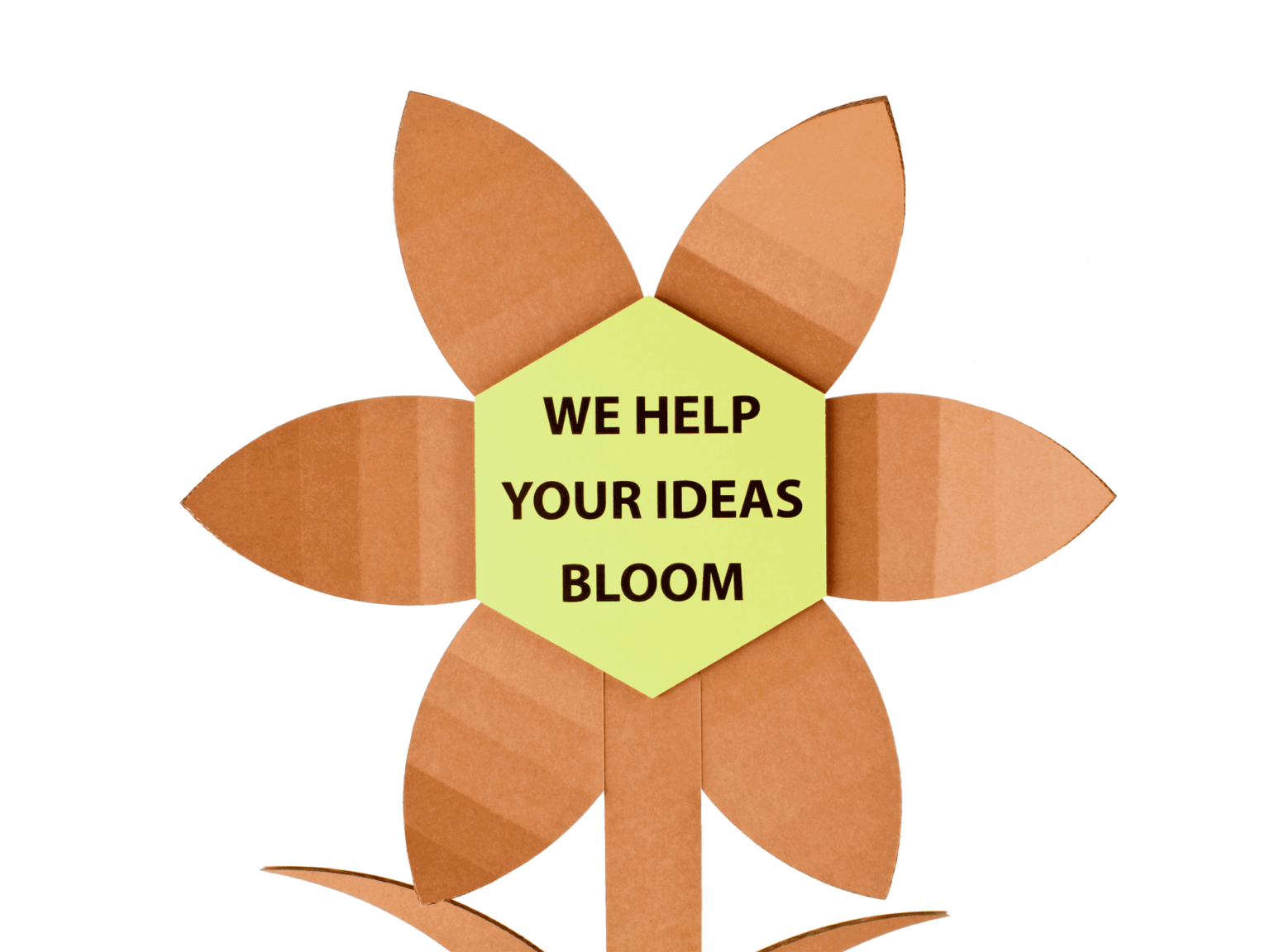 Display in cartone da banco