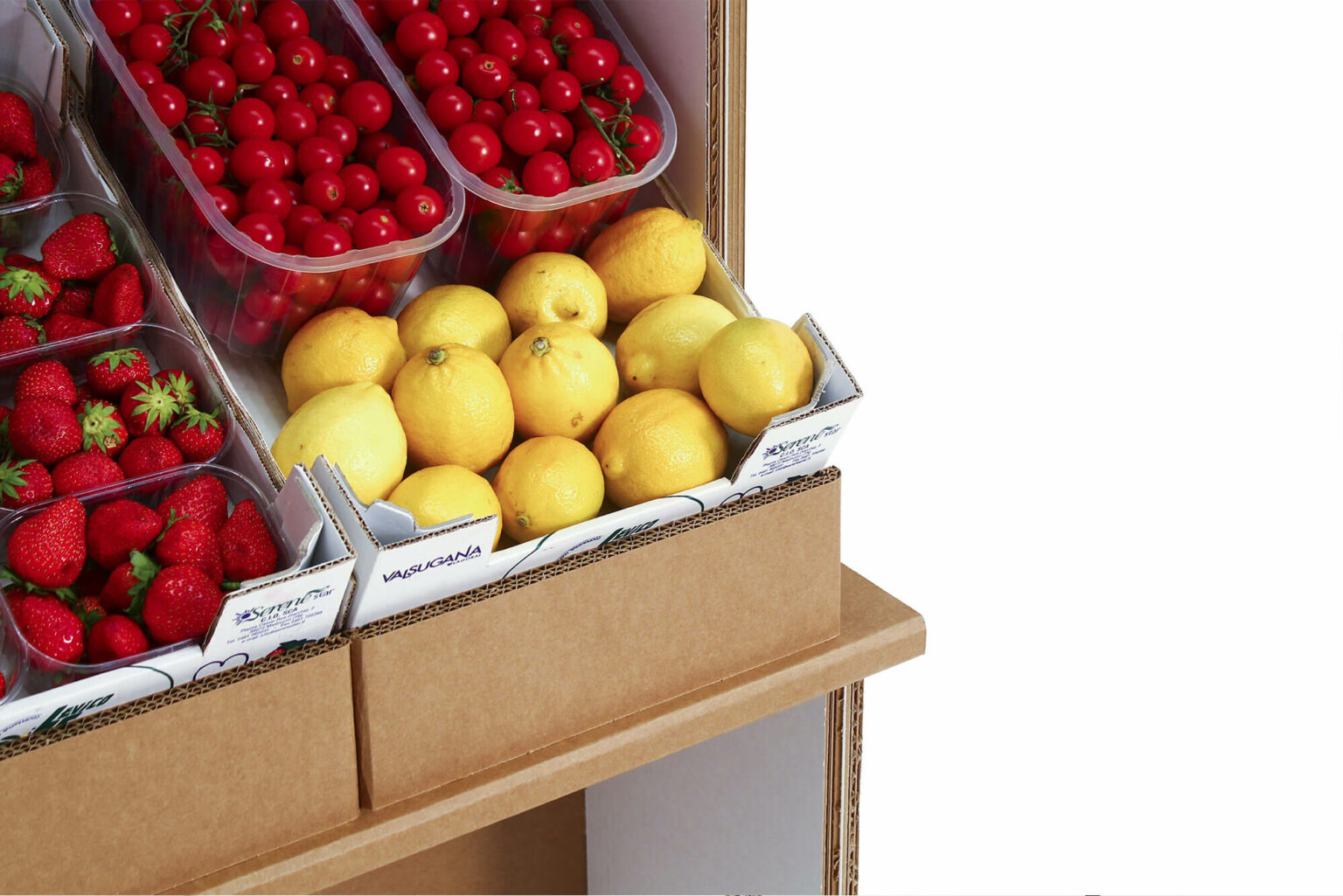 espositore di cartone