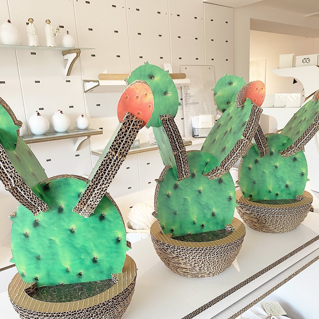 espositori da banco in cartone