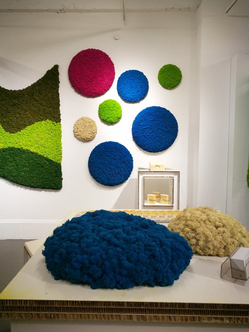 allestimento in cartone