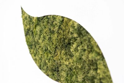 arredo ecosostenibile per negozi