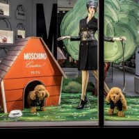 Espositore in cartone