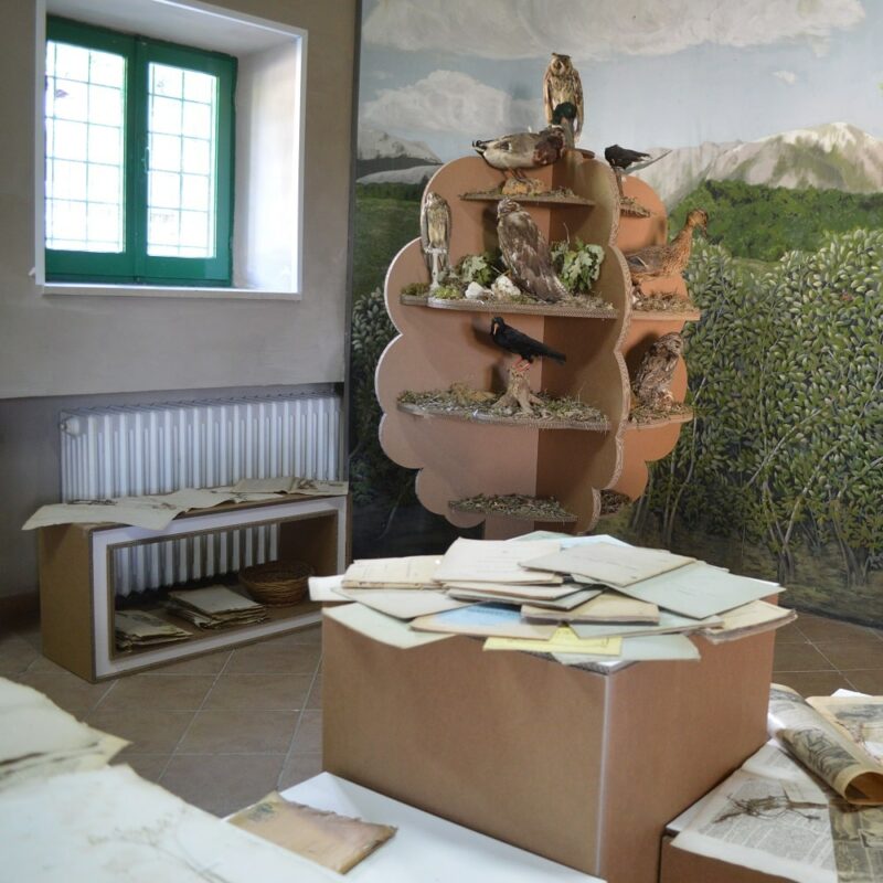 allestimenti museali in cartone