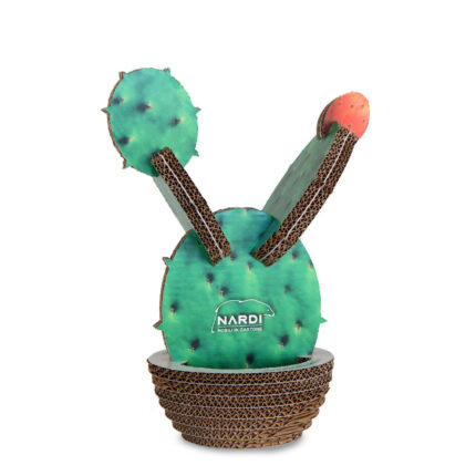 Espositore da banco in cartone 'Fico d'india'