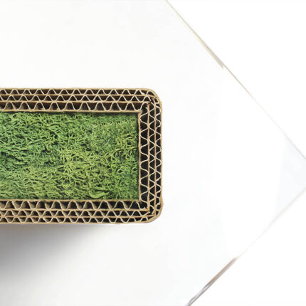 Dettaglio tavolo in cartone, vetro e lichene