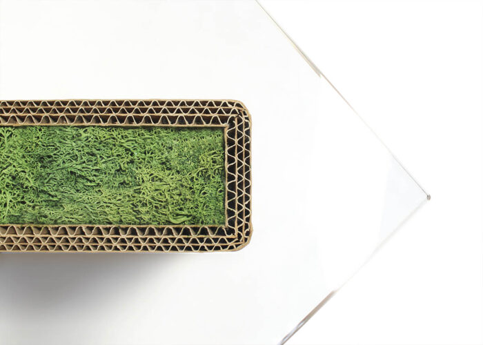 Dettaglio tavolo in cartone, vetro e lichene