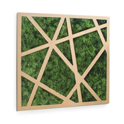 Pannello decorativo in cartone con lichene 'Rames 100'