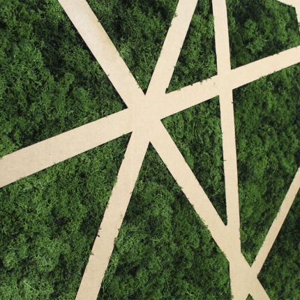 pannello rames in cartone