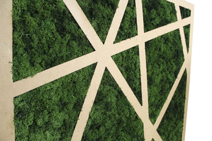 pannello rames in cartone