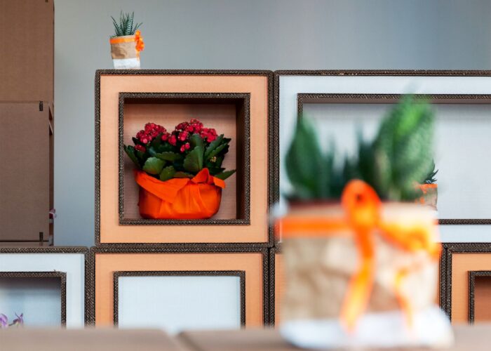 Granati espositore in cartone