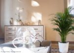 Mobili per Home Staging in cartone