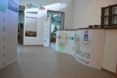 arredi in cartone per musei