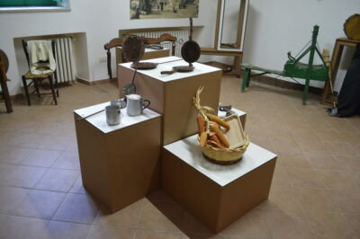 allestimenti in cartone