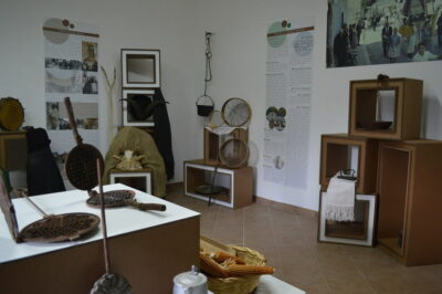 eco- allestimento per musei