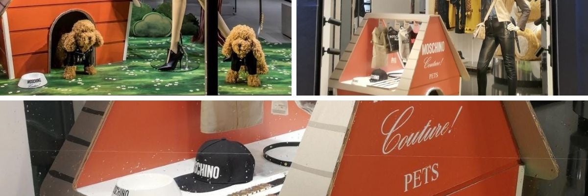 Cover espositore Moschino Pets