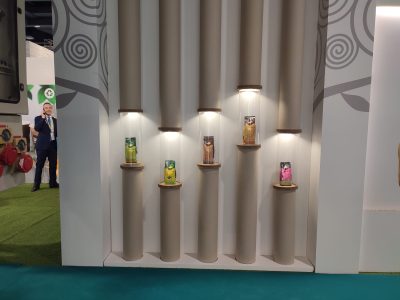 allestimento in cartone