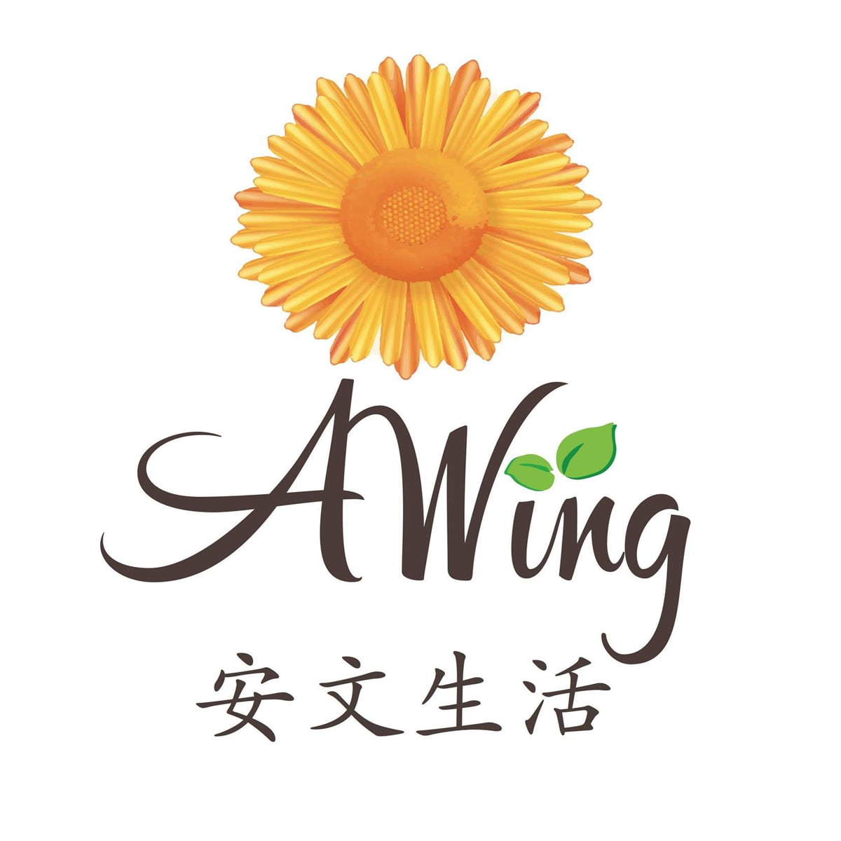 Logo Awing Taiwan