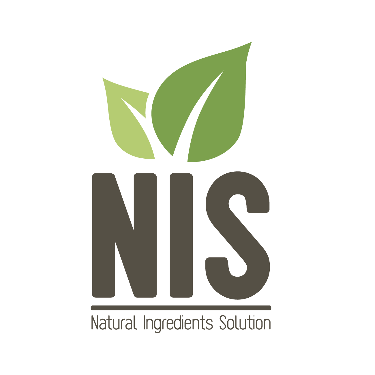Logo Natural Ingredients Solution