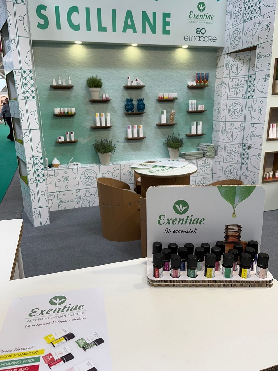 allestimento in cartone