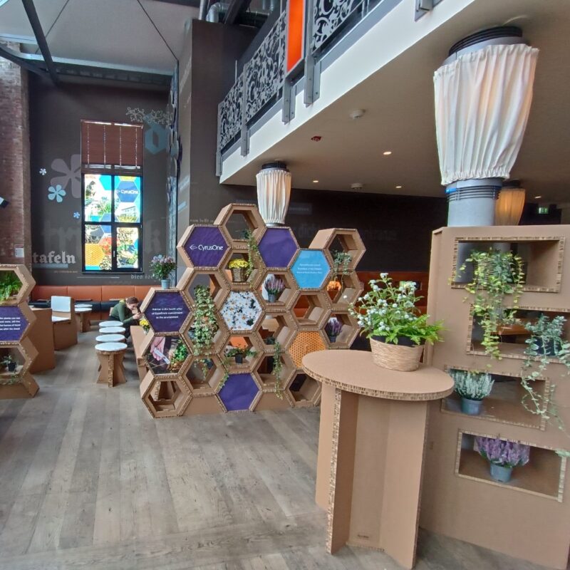 carbon lounge per Cyrus One