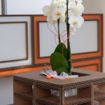 mobili sostenibili in cartone