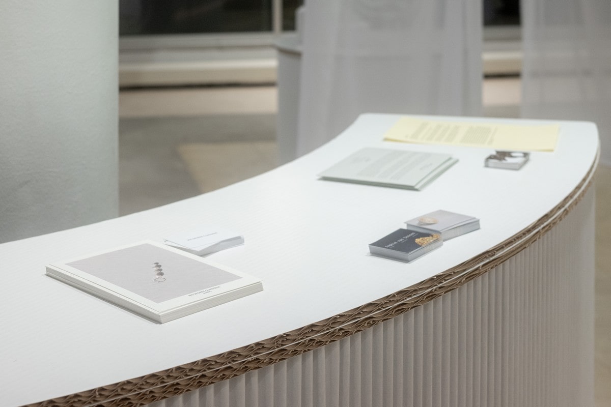 allestimento mostra in cartone