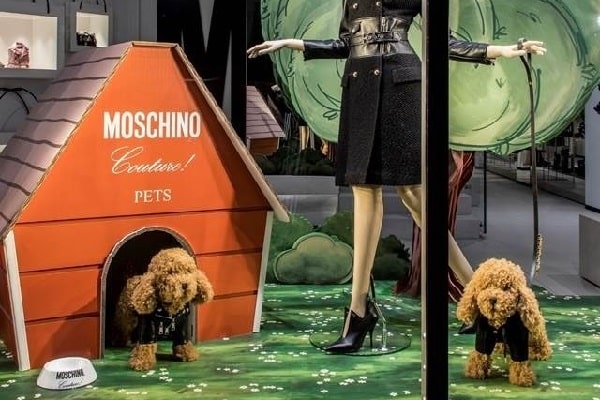 Presentoir PLV en carton