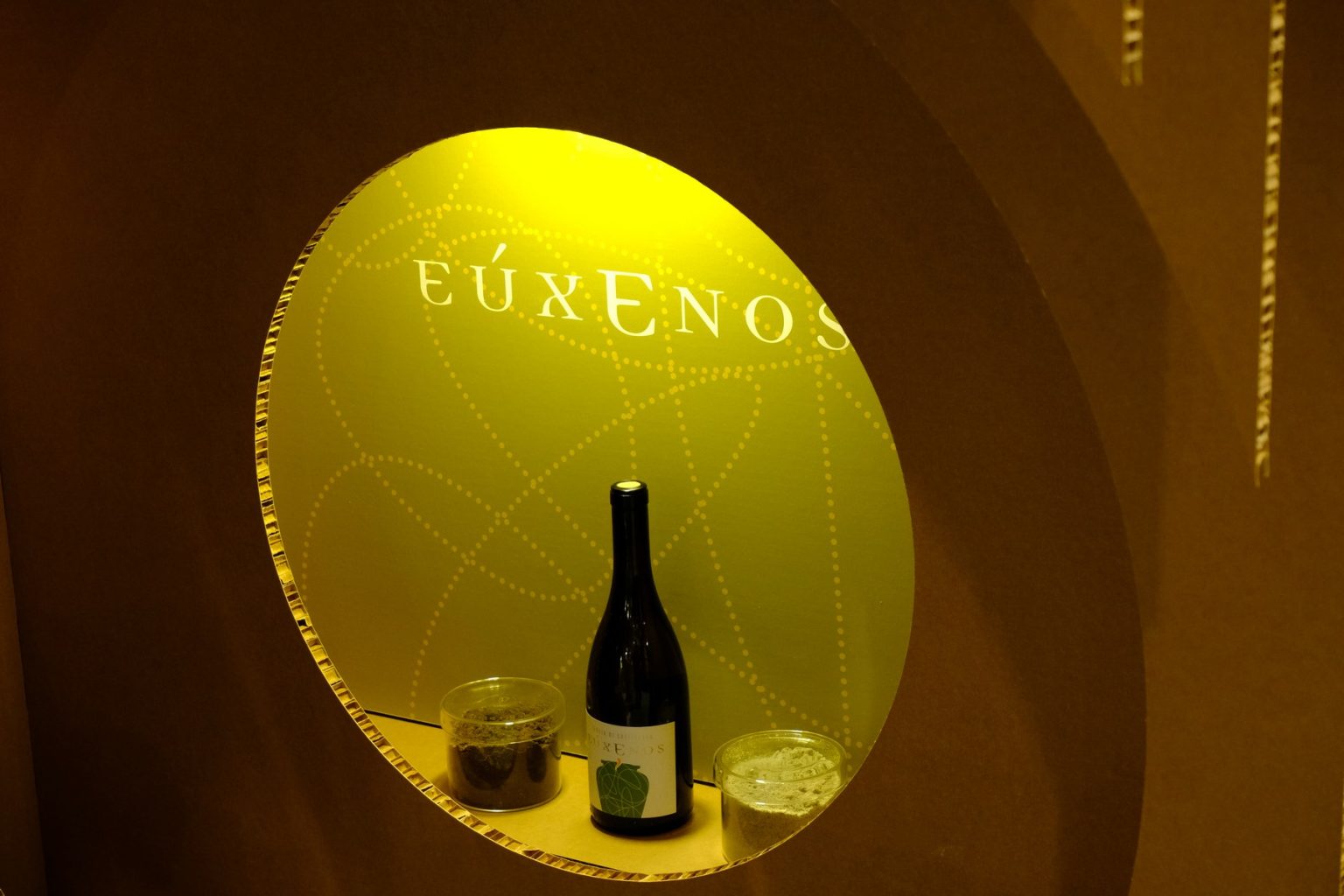 stand in cartone ecologico