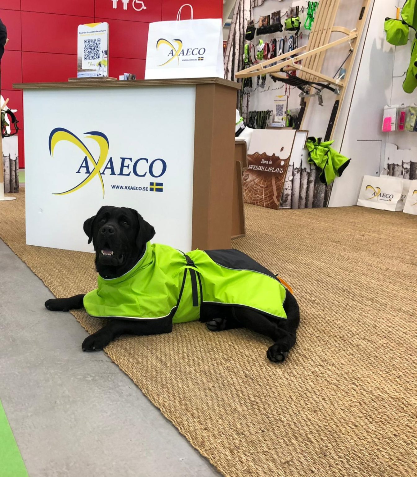 banco reception ecologico