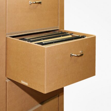 classificatore ecologico