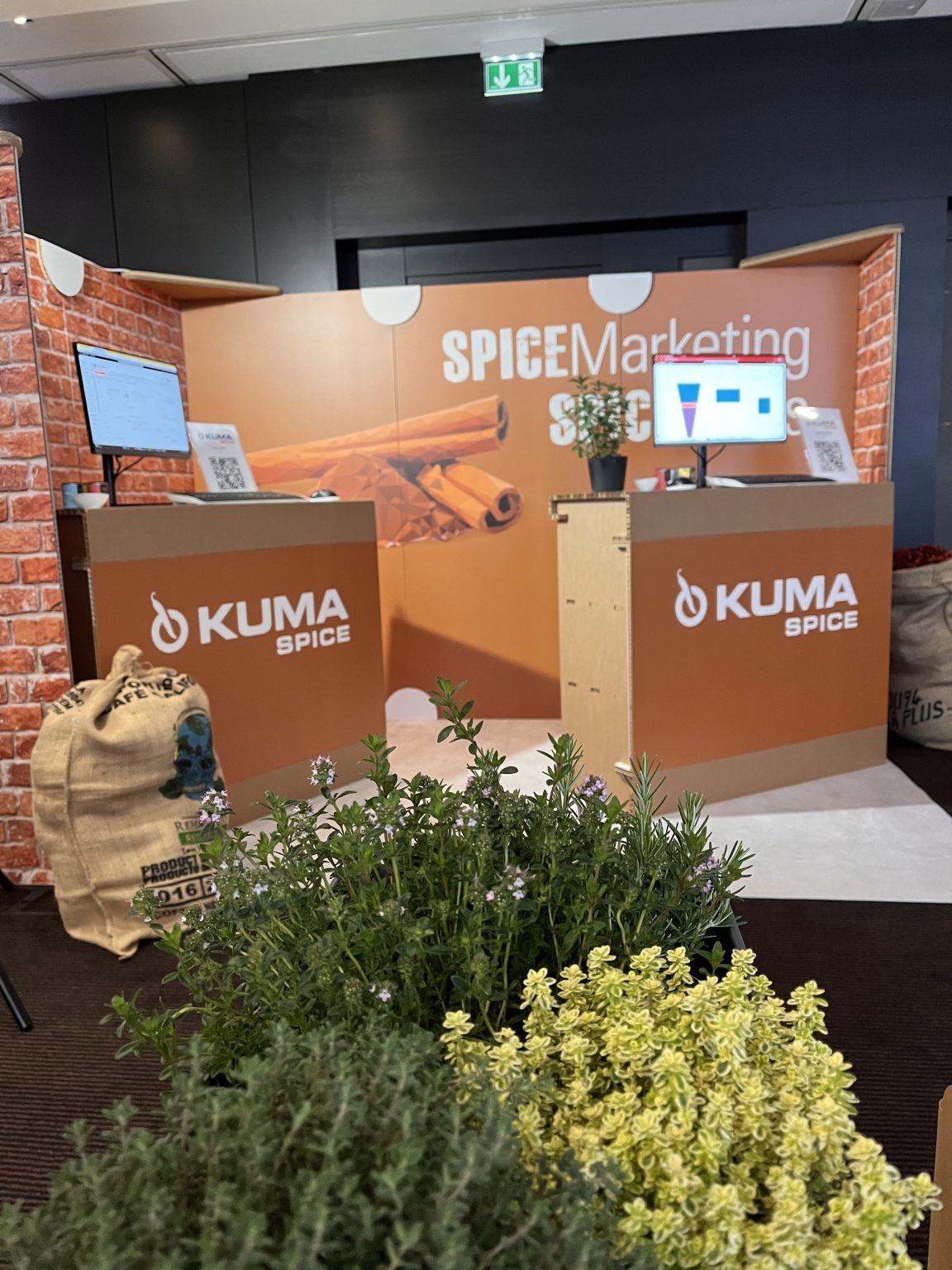 allestimento green in cartone