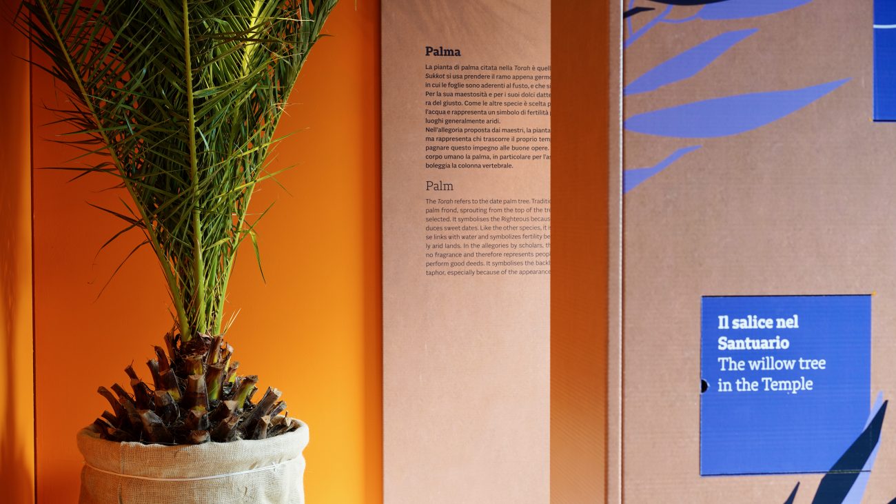 allestimento per musei in cartone