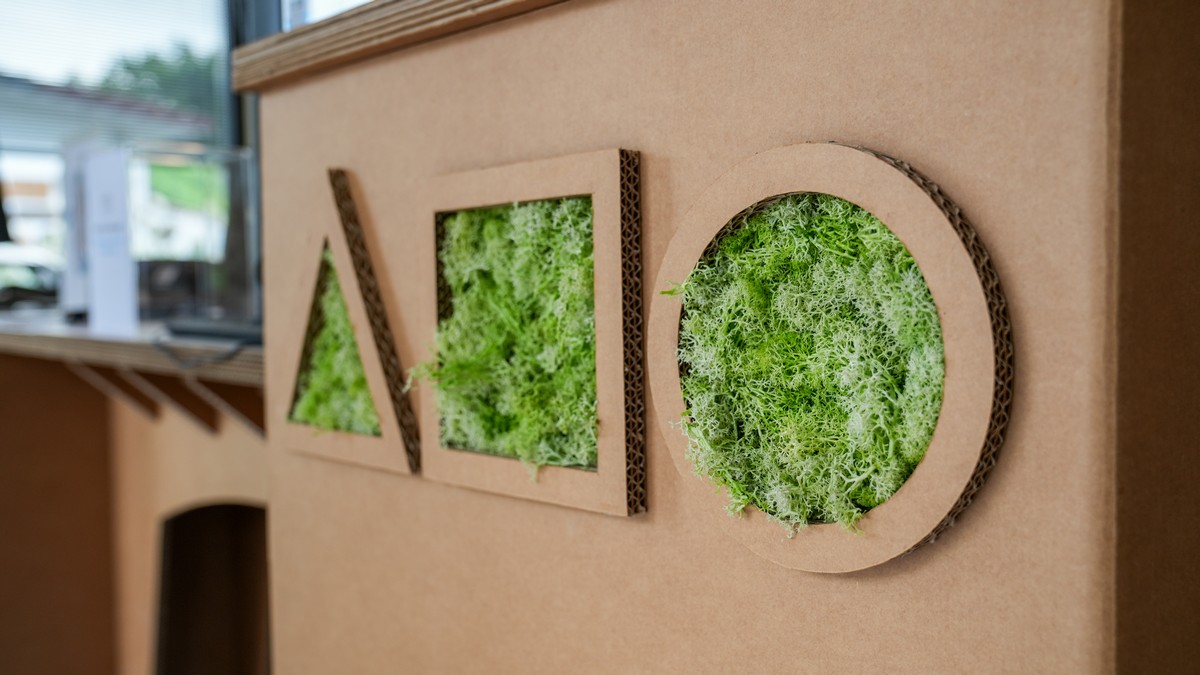 reception in cartone