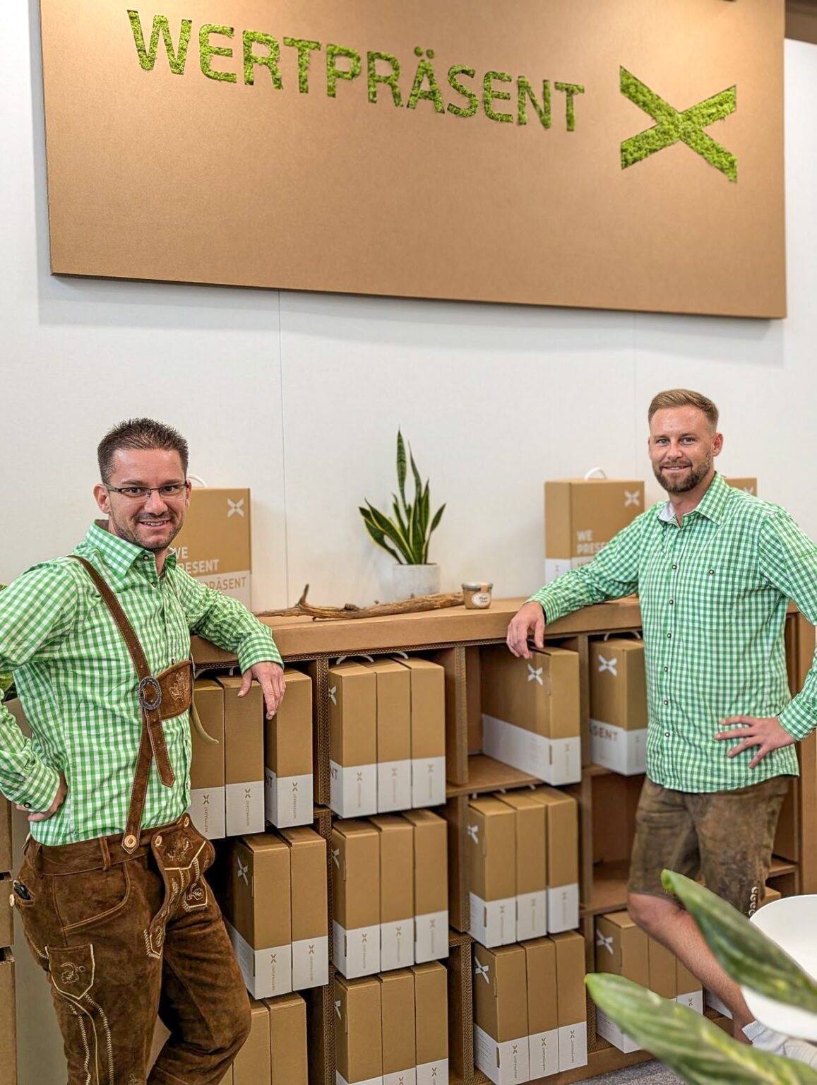 stand in cartone eco